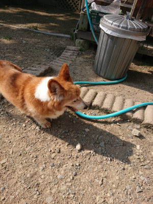 f:id:roukenhome-ann:20190805185027j:plain
