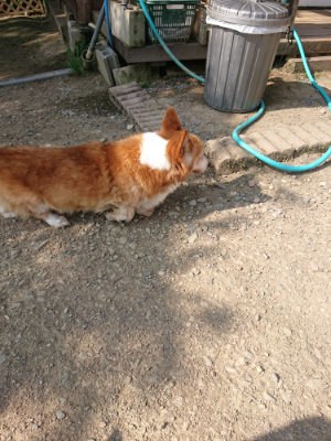 f:id:roukenhome-ann:20190805185059j:plain