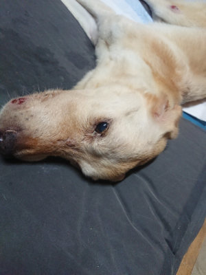 f:id:roukenhome-ann:20190805185128j:plain