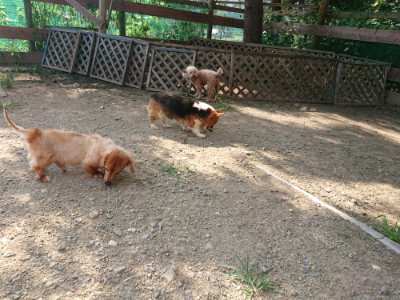 f:id:roukenhome-ann:20190805185133j:plain