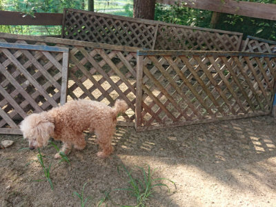 f:id:roukenhome-ann:20190805185139j:plain