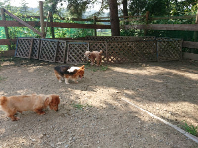 f:id:roukenhome-ann:20190805185155j:plain