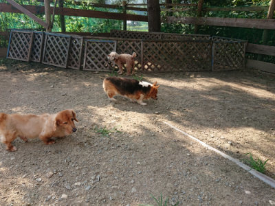 f:id:roukenhome-ann:20190805185206j:plain