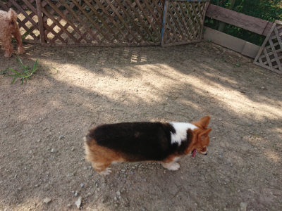 f:id:roukenhome-ann:20190805185211j:plain