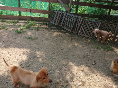 f:id:roukenhome-ann:20190805185234j:plain