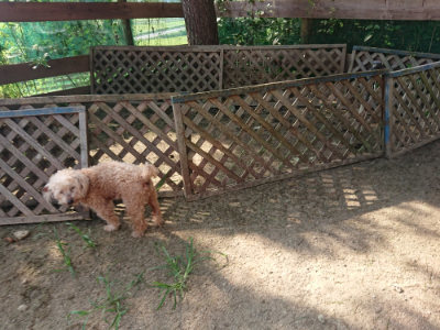f:id:roukenhome-ann:20190805185242j:plain