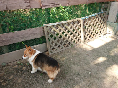 f:id:roukenhome-ann:20190805185303j:plain
