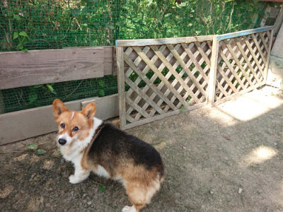 f:id:roukenhome-ann:20190805185309j:plain