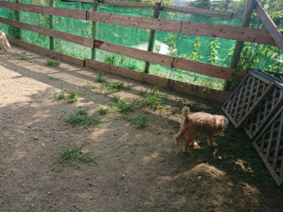 f:id:roukenhome-ann:20190805185402j:plain