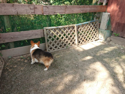 f:id:roukenhome-ann:20190805185407j:plain