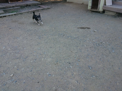 f:id:roukenhome-ann:20190805192508j:plain