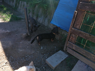 f:id:roukenhome-ann:20190805192520j:plain