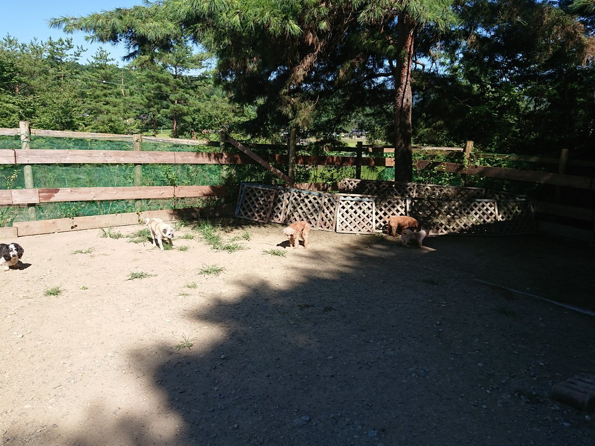 f:id:roukenhome-ann:20190805192719j:plain
