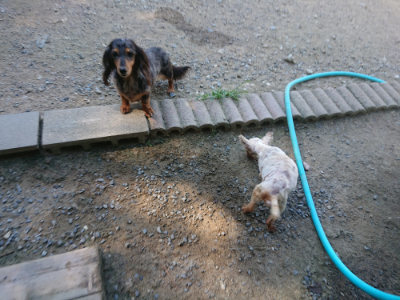 f:id:roukenhome-ann:20190805192738j:plain