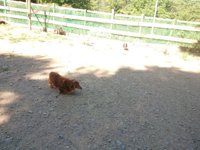 f:id:roukenhome-ann:20190805192805j:plain