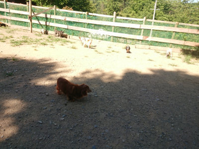 f:id:roukenhome-ann:20190805192810j:plain