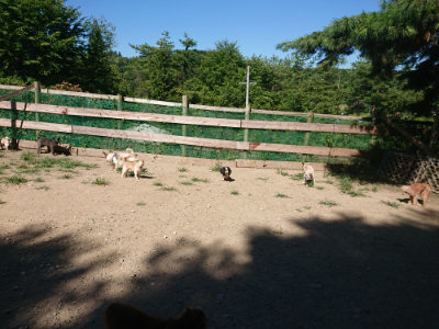 f:id:roukenhome-ann:20190805192819j:plain