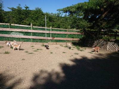 f:id:roukenhome-ann:20190805192824j:plain