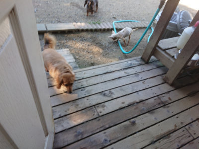 f:id:roukenhome-ann:20190805192845j:plain