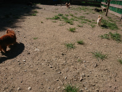 f:id:roukenhome-ann:20190805192901j:plain