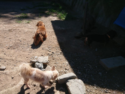 f:id:roukenhome-ann:20190805192934j:plain