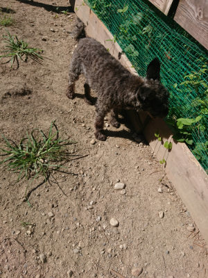f:id:roukenhome-ann:20190805193012j:plain