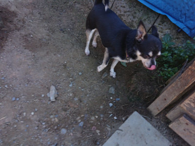 f:id:roukenhome-ann:20190805193027j:plain