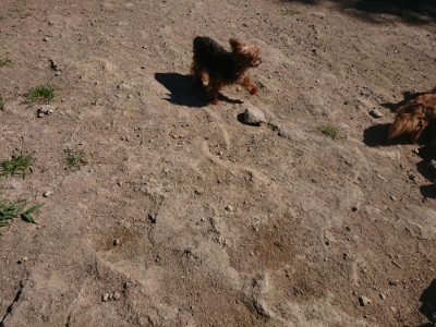 f:id:roukenhome-ann:20190805193033j:plain