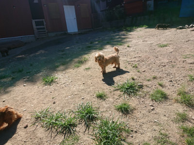 f:id:roukenhome-ann:20190805193045j:plain