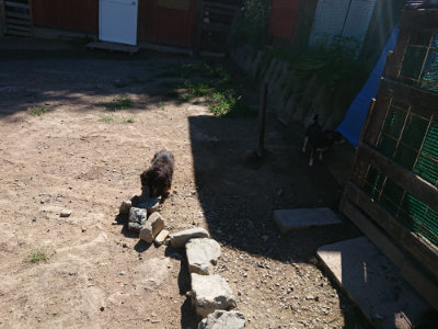 f:id:roukenhome-ann:20190805193052j:plain