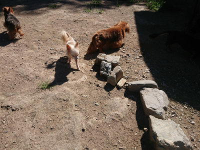 f:id:roukenhome-ann:20190805193102j:plain