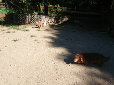 f:id:roukenhome-ann:20190805193132j:plain