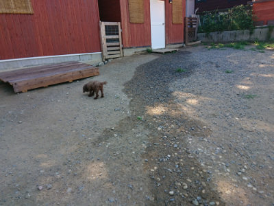 f:id:roukenhome-ann:20190805193137j:plain