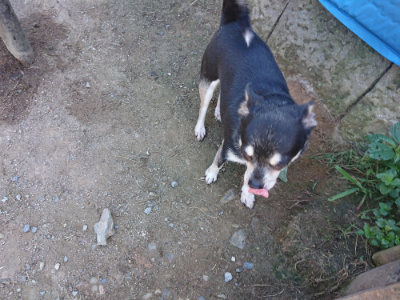 f:id:roukenhome-ann:20190805193143j:plain