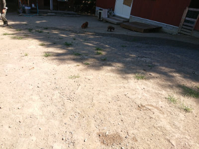 f:id:roukenhome-ann:20190805193149j:plain