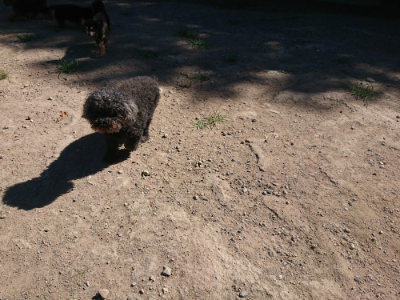 f:id:roukenhome-ann:20190805193155j:plain