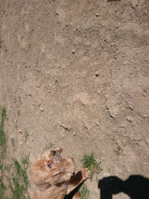 f:id:roukenhome-ann:20190805193205j:plain