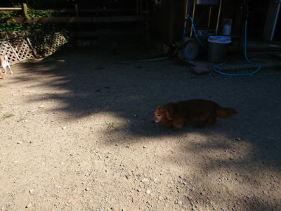 f:id:roukenhome-ann:20190805193336j:plain