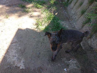 f:id:roukenhome-ann:20190805193341j:plain