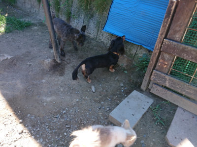 f:id:roukenhome-ann:20190805193346j:plain