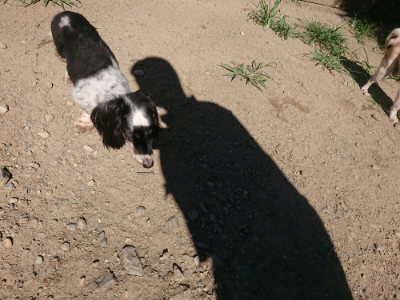 f:id:roukenhome-ann:20190805193351j:plain