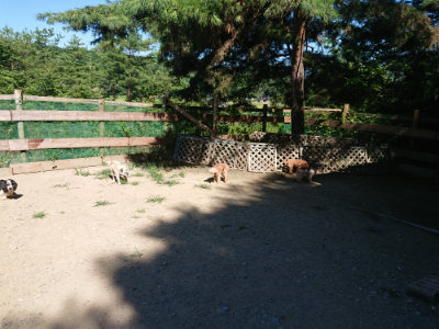 f:id:roukenhome-ann:20190805193412j:plain