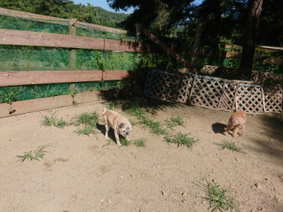 f:id:roukenhome-ann:20190805193418j:plain