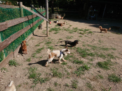 f:id:roukenhome-ann:20190805193433j:plain