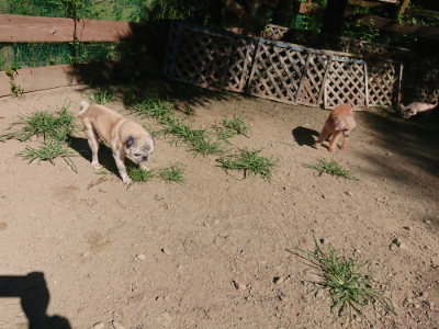 f:id:roukenhome-ann:20190805193448j:plain