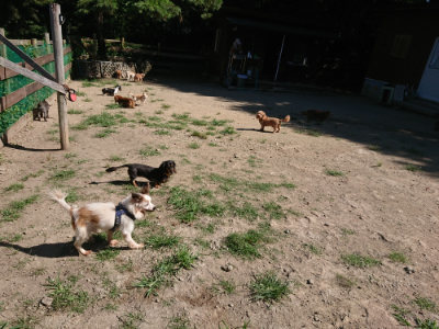 f:id:roukenhome-ann:20190805193521j:plain