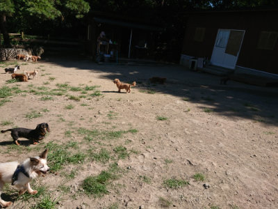 f:id:roukenhome-ann:20190805193527j:plain