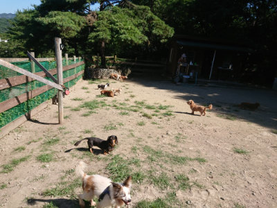 f:id:roukenhome-ann:20190805193533j:plain