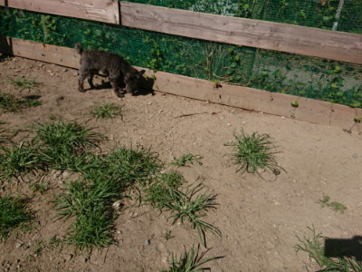 f:id:roukenhome-ann:20190805193546j:plain