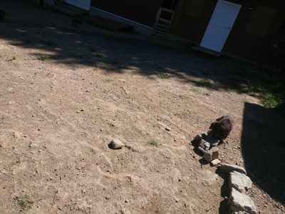 f:id:roukenhome-ann:20190805193610j:plain